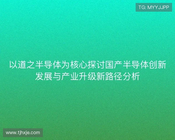 以道之半导体为核心探讨国产半导体创新发展与产业升级新路径分析
